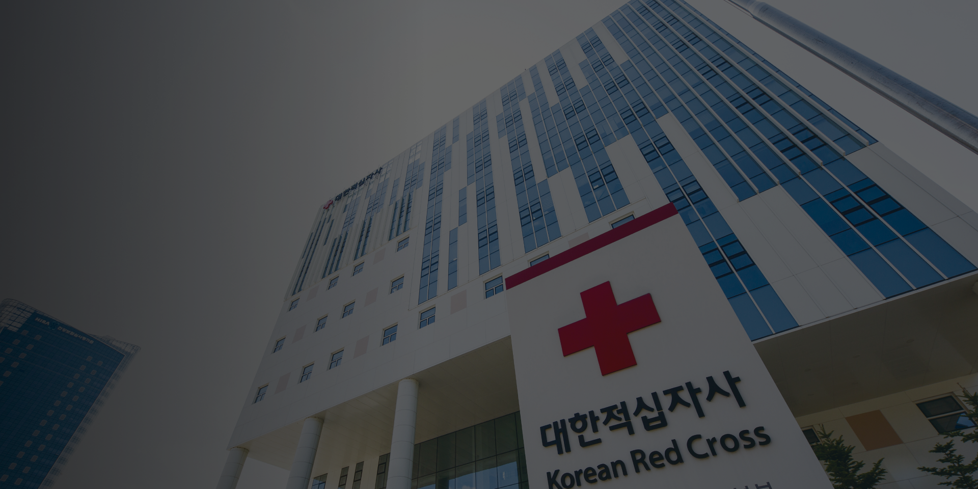 배경이미지